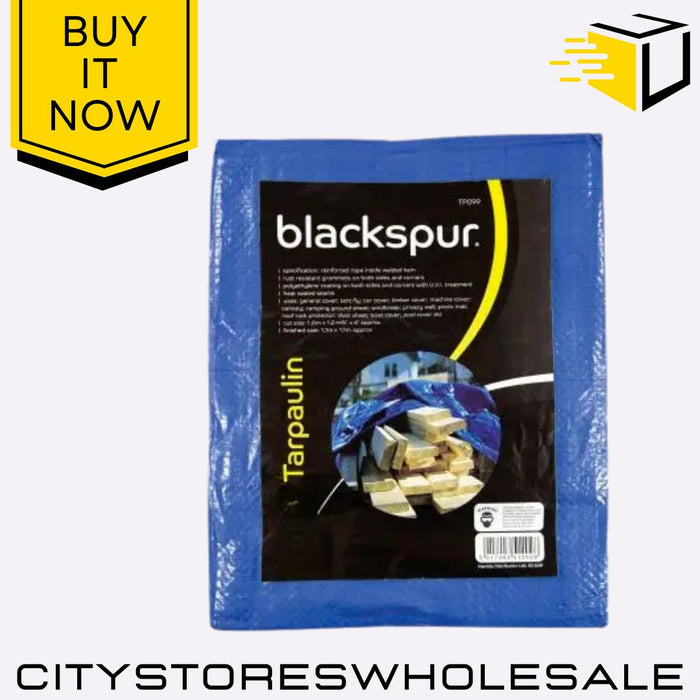 10ft x 12ft Tarpaulin Waterproof Cover Sheet Ground Sheet Blue Blackspur