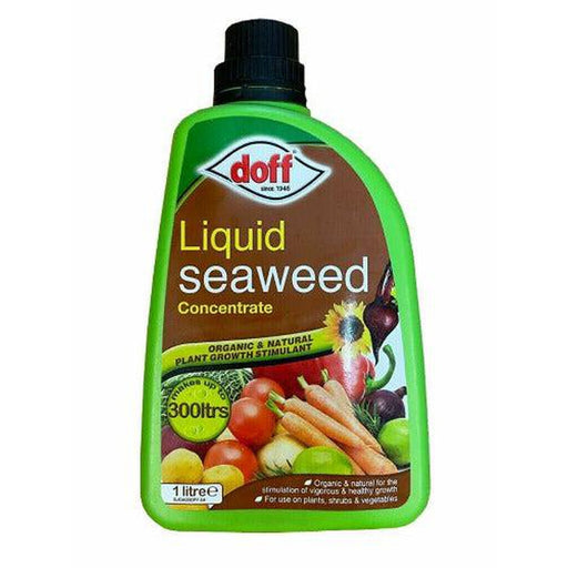 Doff Liquid Seaweed Concentrate Organic Plant Food Vegetables Feed 1 Litre - Doff